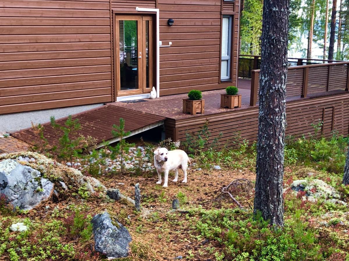 Pielislinna Koli  Exterior photo